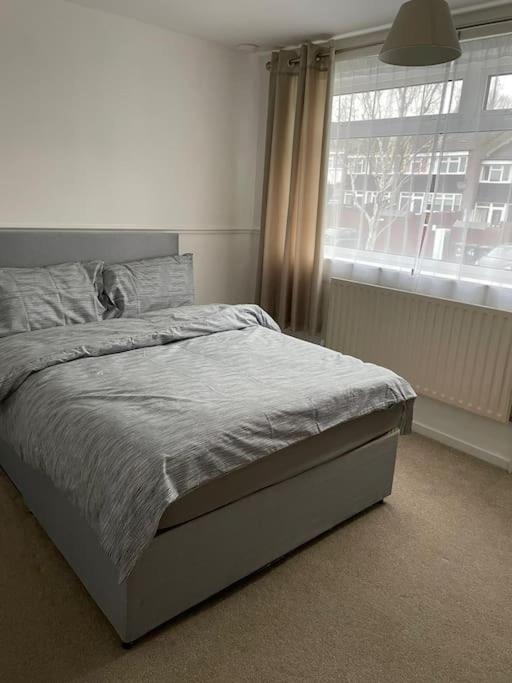 Xxxxxxxxxxxxxxx Apartament *